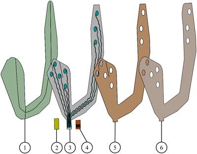 Electrophysiology Meets Printed Electronics: The Beginning of a Beautiful Friendship